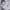 Nike Streetwear Sportswear Hoody Pria white photo 4
