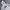 Nike Streetwear Sportswear Hoody Pria white photo 2
