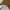 Burberry Casual Formal shirt Pria white photo 3