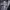 The North Face Gorpcore Puffer jacket Pria black photo 4