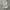 Yves Saint Laurent YSL Vintage Sportswear Parka Pria Cream