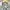 Yves Saint Laurent YSL Vintage Sportswear Parka Pria cream photo 7