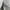 Yves Saint Laurent YSL Vintage Sportswear Parka Pria cream photo 5