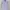 Polo Ralph Lauren Luxury Casual shirt Pria white blue photo 2