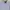 Polo Ralph Lauren Luxury Casual shirt Pria white blue photo 3