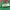 Japanese brand Casual T-shirt Pria green red photo 6