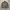 Polo Ralph Lauren Casual Sweatshirt Pria green photo 1