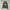 Japanese brand Streetwear Casual Hoody Pria black photo 1