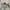 Semantic Design Vintage Y2K Jeans Pria white black photo 5