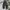 Streetwear Skater Jeans Pria multicolor photo 1