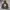Casual Hoody Pria multicolor photo 1