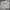 Avirex Casual Sweater Pria gray photo 1