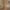 MCM Coquette Minimalist Backpack Wanita brown photo 2