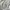 Fendi Luxury Futurist Blouse Wanita tan cream photo 4