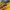 ECKO UNLTD Y2K Sportswear Jersey Pria yellow photo 3