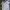 Giordano Streetwear Luxury T-shirt Pria White