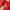 Star Wars Streetwear Sportswear Hoody Pria red photo 3