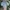 Dior Luxury Crop top Wanita multicolor photo 1