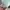 Dior Luxury Crop top Wanita multicolor photo 8