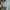 Dior Luxury Crop top Wanita multicolor photo 3