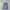 Levi's Streetwear Sportswear Hoody Pria navy photo 2