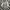 Semantic Design Avant Garde Futurist Fur coat Pria silver white photo 4