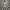 Semantic Design Avant Garde Futurist Fur coat Pria silver white photo 5