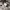 Semantic Design Avant Garde Futurist Fur coat Pria silver white photo 8