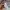 Slazenger Streetwear Sweatshirt Pria multicolor photo 8