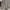Slazenger Streetwear Sweatshirt Pria multicolor photo 5