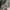 Slazenger Streetwear Sweatshirt Pria multicolor photo 4