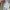 Slazenger Streetwear Sweatshirt Pria multicolor photo 7