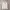 Adidas Streetwear Sportswear Hoody Pria gray photo 2