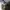 Tornado Mart Vintage Y2K Flare pants Wanita gray photo 6