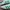 Adidas Indie Casual Sneakers Wanita white green photo 2