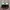 Adidas Indie Casual Sneakers Pria white black photo 4