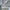 Reebok Luxury Casual Hoody Pria gray photo 2