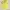 Hazzys Streetwear Y2K Polo shirt Pria yellow photo 1
