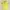 Hazzys Streetwear Y2K Polo Shirt Pria Yellow