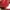 Longchamp Minimalist Casual Handbag Wanita red photo 5