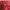 Longchamp Minimalist Casual Handbag Wanita red photo 3