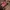 Longchamp Minimalist Casual Handbag Wanita red photo 7