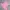 Vintage Streetwear Formal shirt Pria pink photo 4