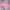Vintage Streetwear Formal shirt Pria pink photo 1