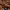 Polo Ralph Lauren Casual Polo shirt Pria brown photo 4