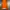 Luxury Sportswear Fleece Wanita orange photo 2