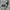 Japanese brand Streetwear Y2K Formal shirt Pria brown cream photo 4
