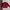 Casual Bomber jacket Pria red black photo 1