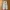 Champion Streetwear Sportswear Tracksuit Pria white photo 8