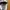 Champion Streetwear Sportswear Tracksuit Pria white photo 5